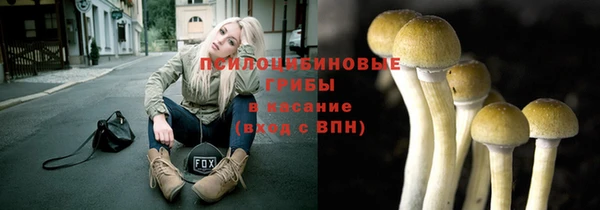 тгк Бронницы