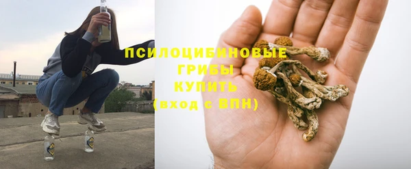 mdpv Бородино
