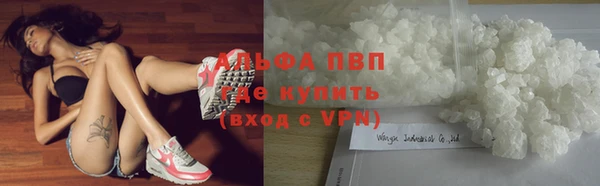 mdpv Бородино