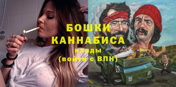 тгк Бронницы