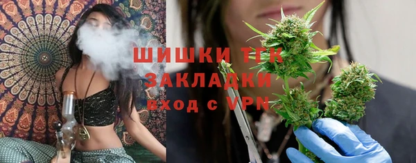 тгк Бронницы