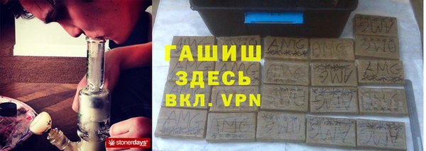 mdpv Бородино