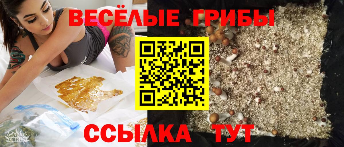 Галлюциногенные грибы мухоморы  Вход с VPN  купить закладку  Галлюциногенные грибы мицелий  Волоколамск 